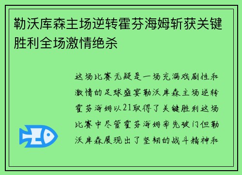 勒沃库森主场逆转霍芬海姆斩获关键胜利全场激情绝杀